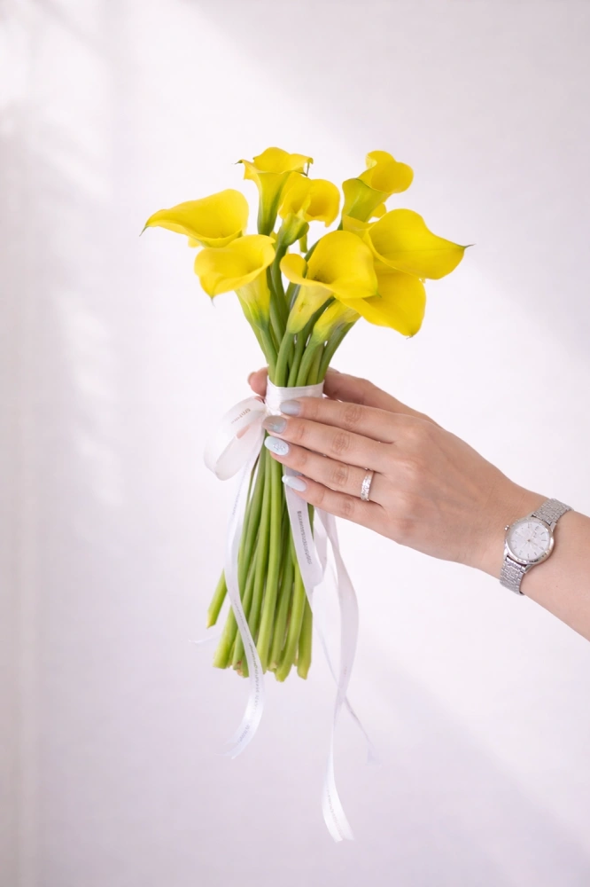 5725c7d2-cb2a-41db-8714-987129cc5d89