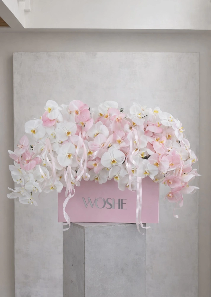 664c1c9e-52d6-42ba-8854-190aaa43e40b_3_1877593948