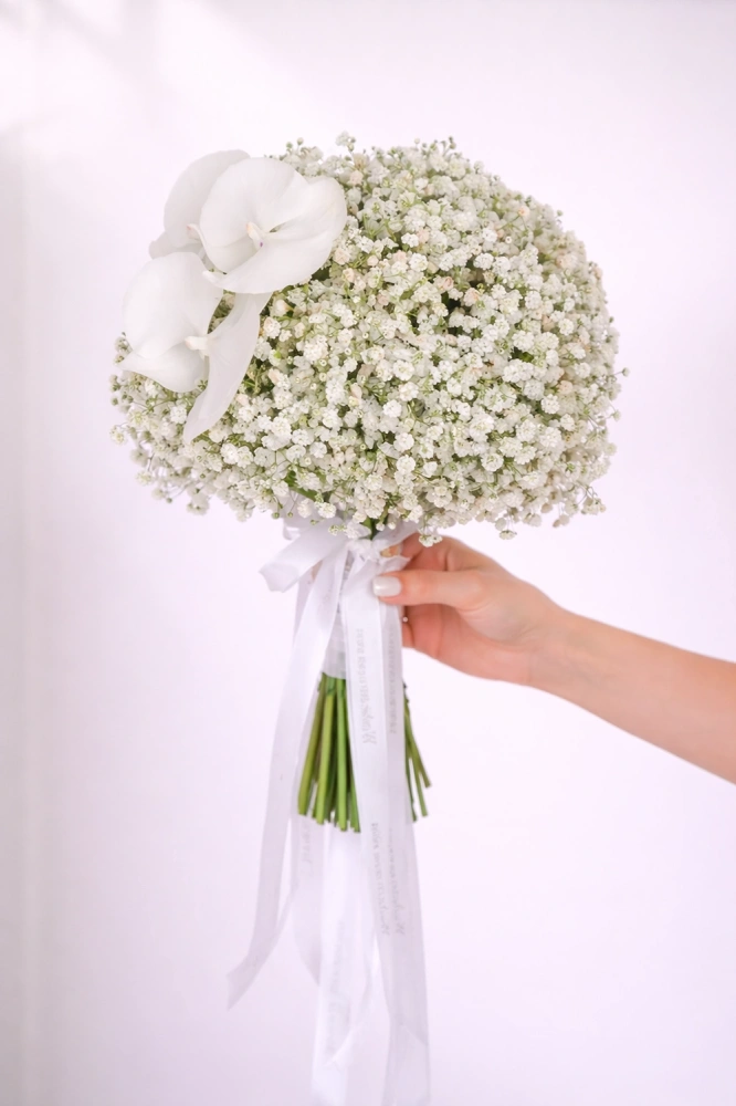 6a049ed7-6939-4c20-8f77-ef79c4c7edec