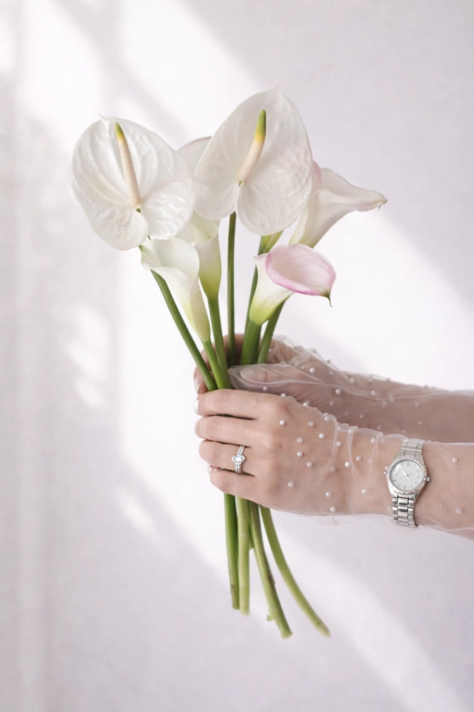 78779480-08d3-4579-a0b4-61709c1fe017_1