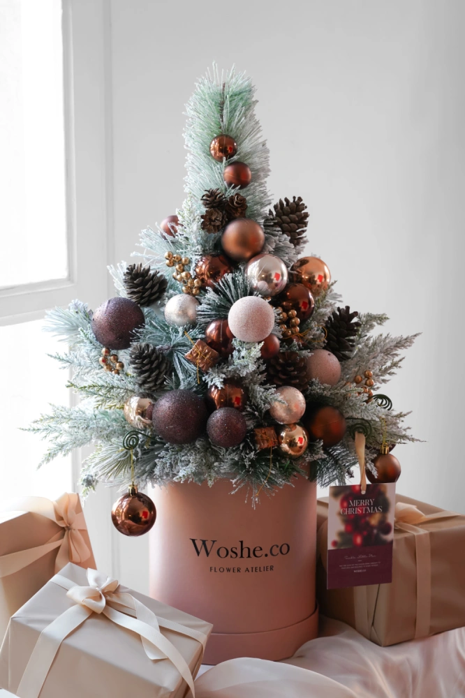 dsc01531_1_791452695