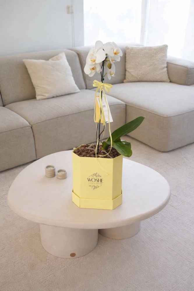 img_20260412_141128_1045698171