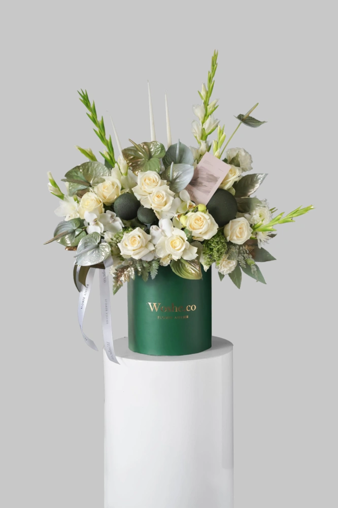 whatsapp_image_2025-12-30_at_10_45_25_pm