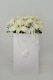 white_rose_bag_02
